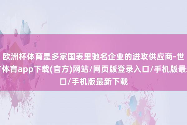 欧洲杯体育是多家国表里驰名企业的进攻供应商-世博官方体育app下载(官方)网站/网页版登录入口/手机版最新下载