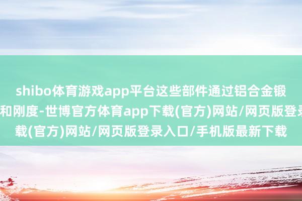 shibo体育游戏app平台这些部件通过铝合金锻造不错已毕较好的强度和刚度-世博官方体育app下载(官方)网站/网页版登录入口/手机版最新下载