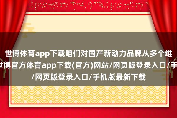 世博体育app下载咱们对国产新动力品牌从多个维度进行盘货-世博官方体育app下载(官方)网站/网页版登录入口/手机版最新下载