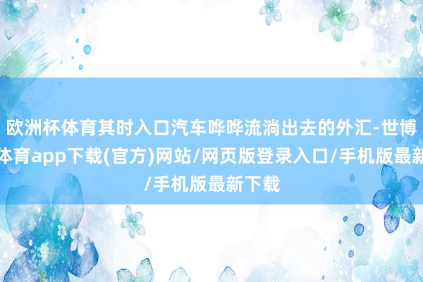 欧洲杯体育其时入口汽车哗哗流淌出去的外汇-世博官方体育app下载(官方)网站/网页版登录入口/手机版最新下载