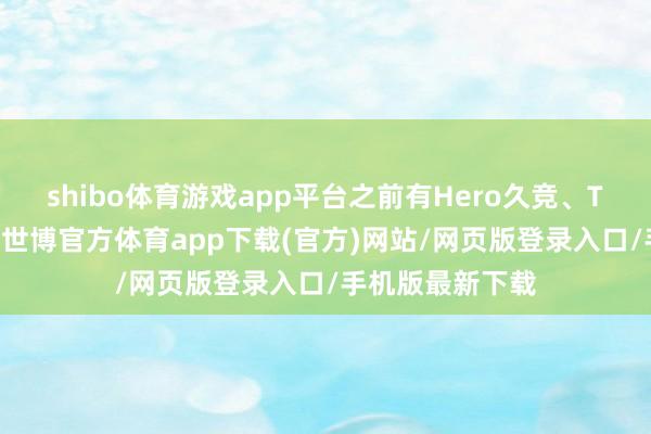 shibo体育游戏app平台之前有Hero久竞、TTG这么的戎行-世博官方体育app下载(官方)网站/网页版登录入口/手机版最新下载