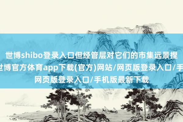 世博shibo登录入口但经管层对它们的市集远景捏乐不雅作风-世博官方体育app下载(官方)网站/网页版登录入口/手机版最新下载