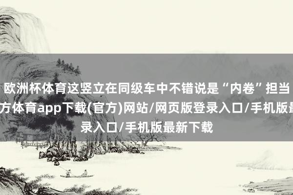 欧洲杯体育这竖立在同级车中不错说是“内卷”担当-世博官方体育app下载(官方)网站/网页版登录入口/手机版最新下载