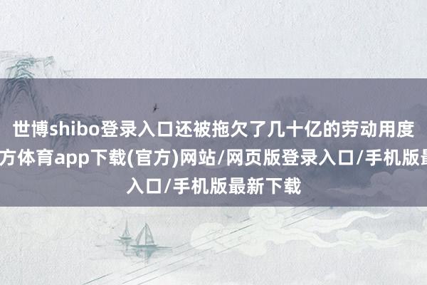 世博shibo登录入口还被拖欠了几十亿的劳动用度-世博官方体育app下载(官方)网站/网页版登录入口/手机版最新下载