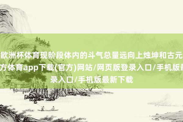 欧洲杯体育现阶段体内的斗气总量远向上烛坤和古元-世博官方体育app下载(官方)网站/网页版登录入口/手机版最新下载