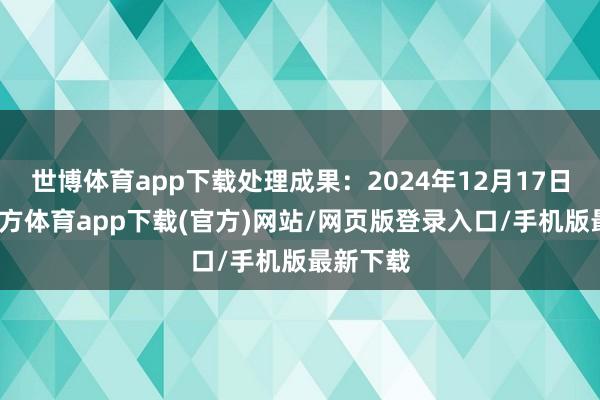 世博体育app下载处理成果：2024年12月17日-世博官方体育app下载(官方)网站/网页版登录入口/手机版最新下载
