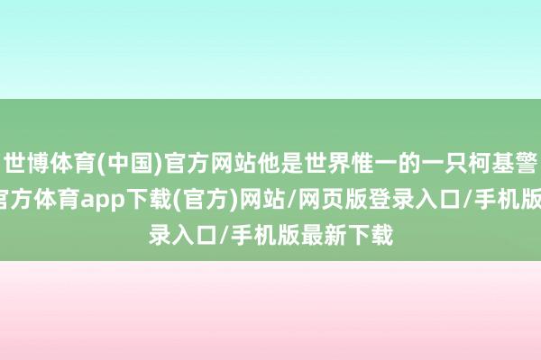世博体育(中国)官方网站他是世界惟一的一只柯基警犬-世博官方体育app下载(官方)网站/网页版登录入口/手机版最新下载