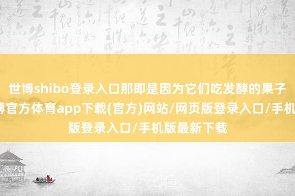 世博shibo登录入口那即是因为它们吃发酵的果子吃多了-世博官方体育app下载(官方)网站/网页版登录入口/手机版最新下载