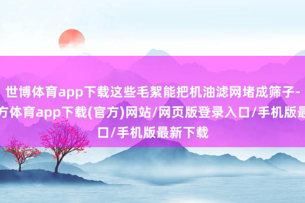世博体育app下载这些毛絮能把机油滤网堵成筛子-世博官方体育app下载(官方)网站/网页版登录入口/手机版最新下载