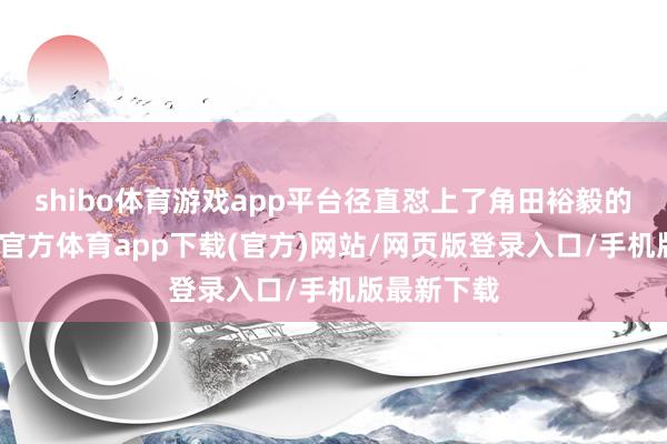 shibo体育游戏app平台径直怼上了角田裕毅的赛车-世博官方体育app下载(官方)网站/网页版登录入口/手机版最新下载