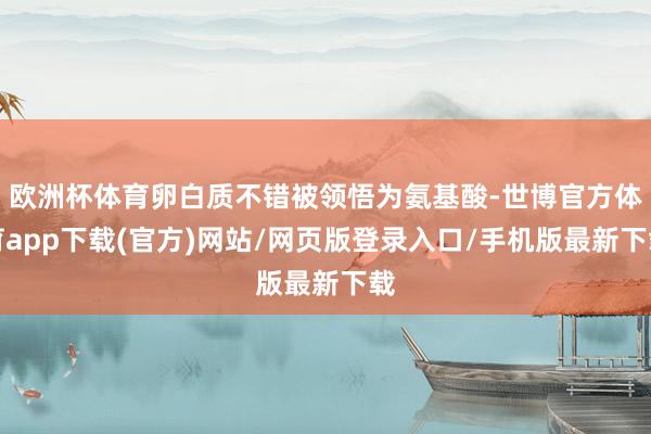欧洲杯体育卵白质不错被领悟为氨基酸-世博官方体育app下载(官方)网站/网页版登录入口/手机版最新下载