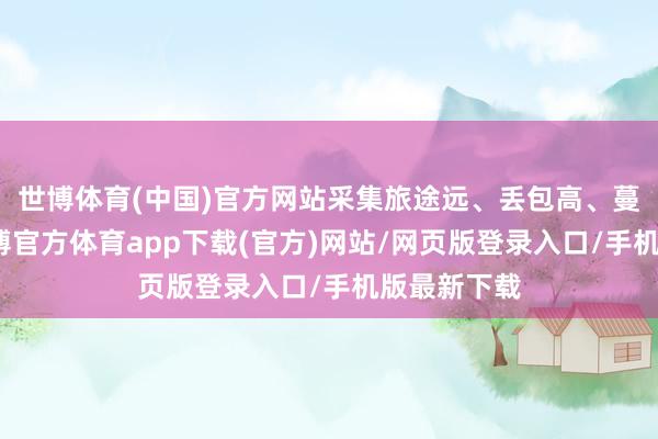 世博体育(中国)官方网站采集旅途远、丢包高、蔓延严重-世博官方体育app下载(官方)网站/网页版登录入口/手机版最新下载