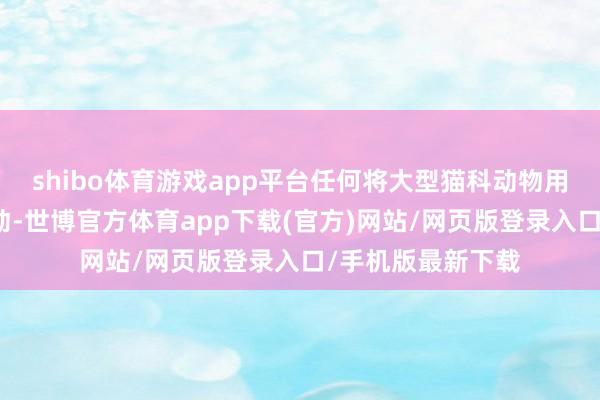 shibo体育游戏app平台任何将大型猫科动物用于文娱扮演的活动-世博官方体育app下载(官方)网站/网页版登录入口/手机版最新下载