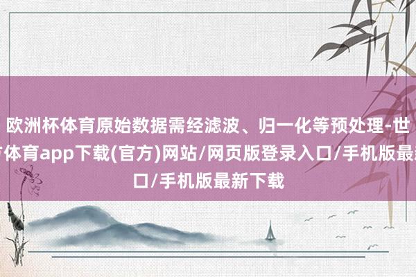 欧洲杯体育原始数据需经滤波、归一化等预处理-世博官方体育app下载(官方)网站/网页版登录入口/手机版最新下载