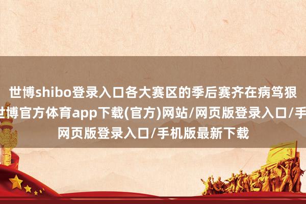 世博shibo登录入口各大赛区的季后赛齐在病笃狠恶的进行中-世博官方体育app下载(官方)网站/网页版登录入口/手机版最新下载